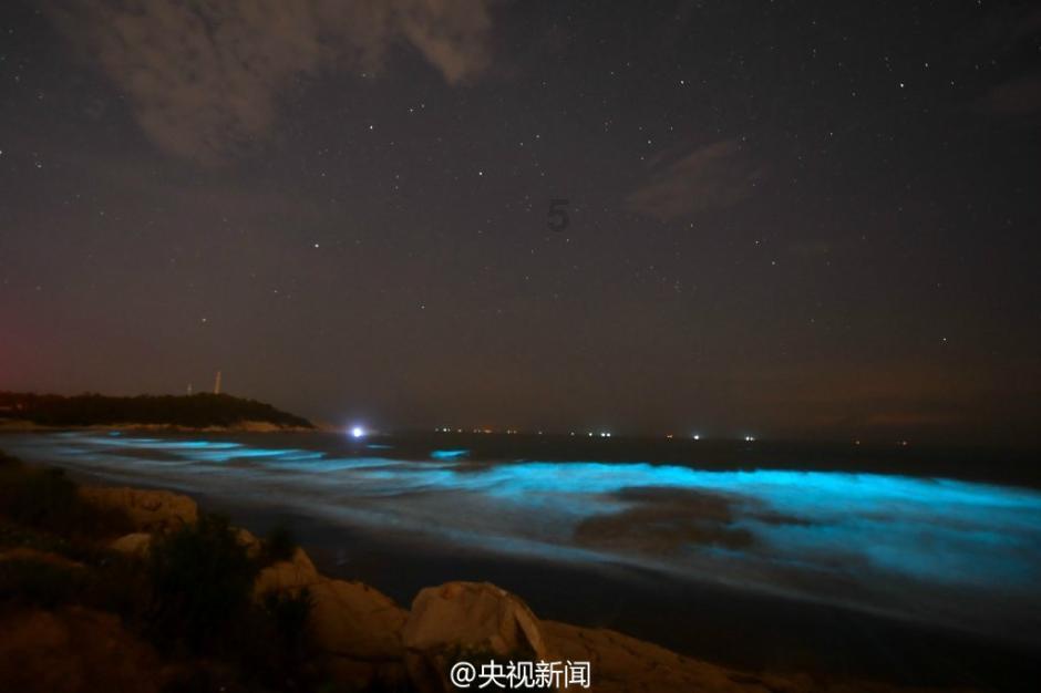 美人鱼的聚会