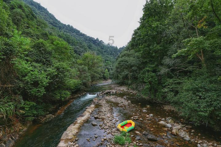 逃离未知丛林2