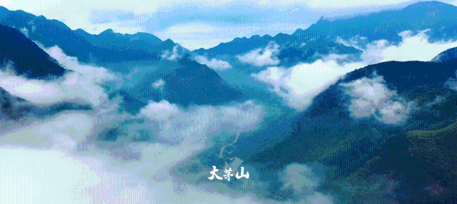 拯救可爱小公主